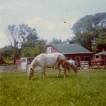 Cindy Horse and Geronimo